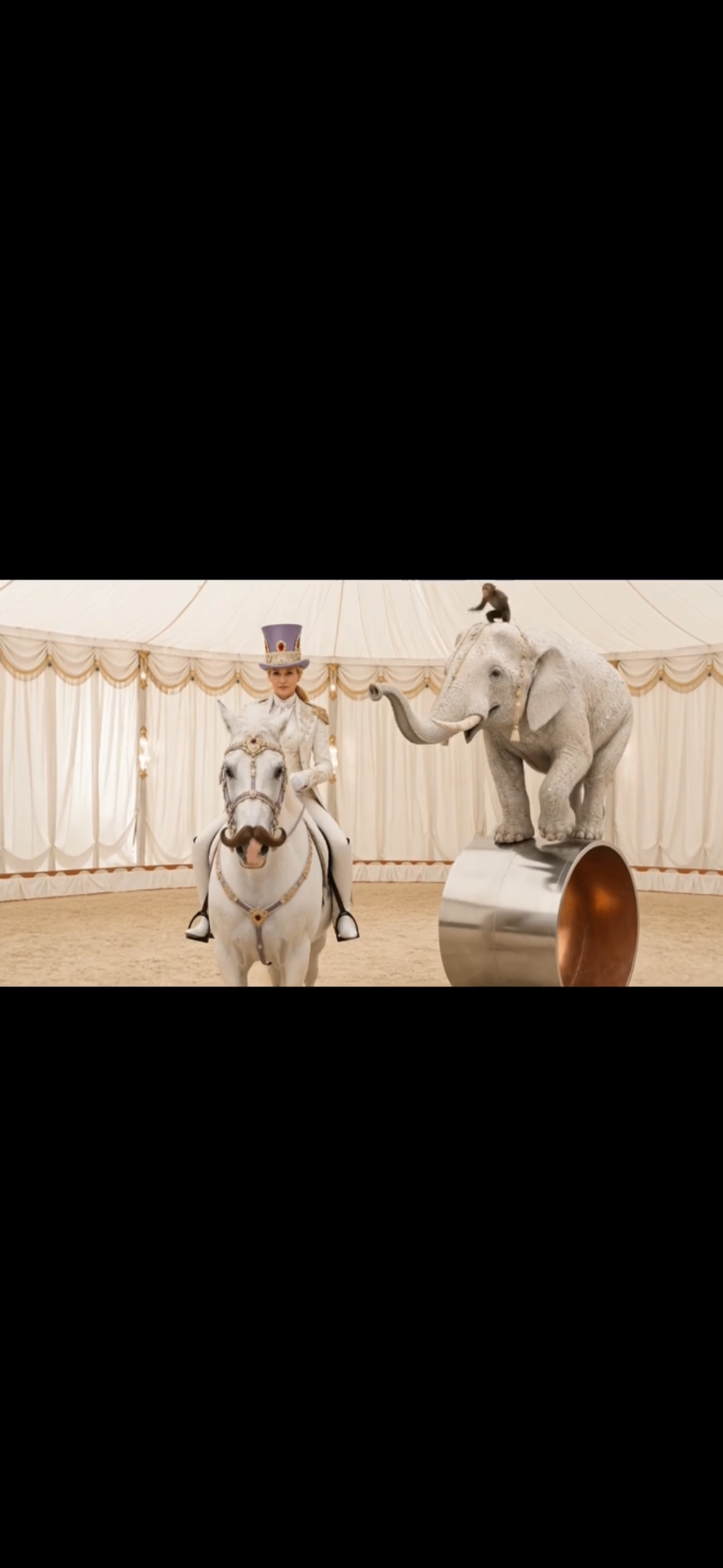 Horse, elephant and monkey under the canvas